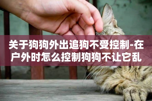 關于狗狗外出追狗不受控制-在戶外時怎么控制狗狗不讓它亂