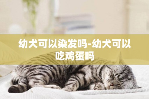 幼犬可以染發嗎-幼犬可以吃雞蛋嗎