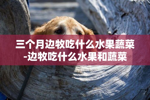 三個月邊牧吃什么水果蔬菜-邊牧吃什么水果和蔬菜