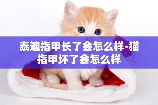 泰迪指甲長了會怎么樣-貓指甲壞了會怎么樣