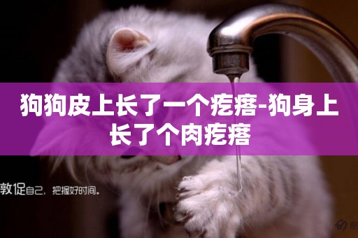 狗狗皮上長了一個疙瘩-狗身上長了個肉疙瘩