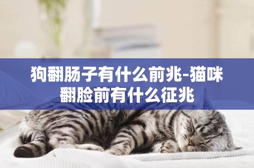 狗翻腸子有什么前兆-貓咪翻臉前有什么征兆