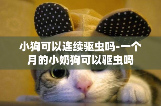 小狗可以連續驅蟲嗎-一個月的小奶狗可以驅蟲嗎