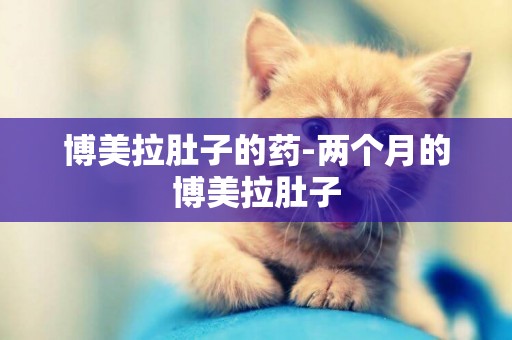 博美拉肚子的藥-兩個月的博美拉肚子