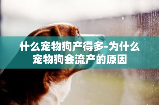 什么寵物狗產得多-為什么寵物狗會流產的原因