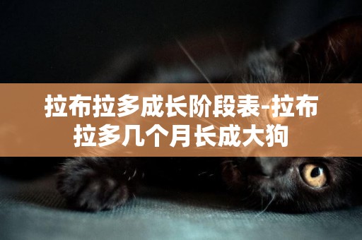 拉布拉多成長階段表-拉布拉多幾個月長成大狗