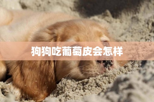 狗狗吃葡萄皮會怎樣