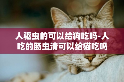 人驅蟲的可以給狗吃嗎-人吃的腸蟲清可以給貓吃嗎