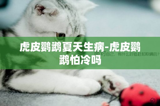 虎皮鸚鵡夏天生病-虎皮鸚鵡怕冷嗎
