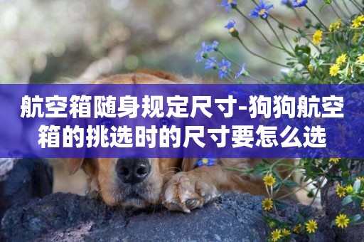 航空箱隨身規定尺寸-狗狗航空箱的挑選時的尺寸要怎么選