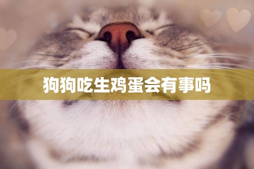 狗狗吃生雞蛋會有事嗎