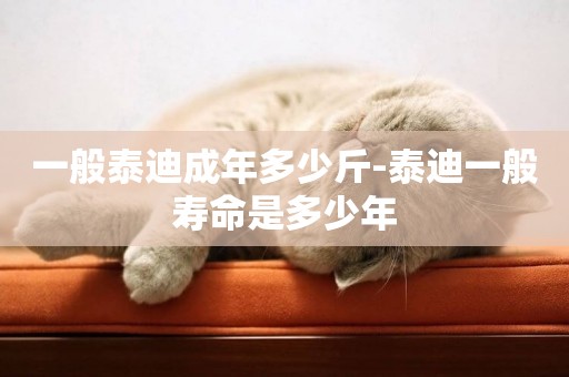 一般泰迪成年多少斤-泰迪一般壽命是多少年