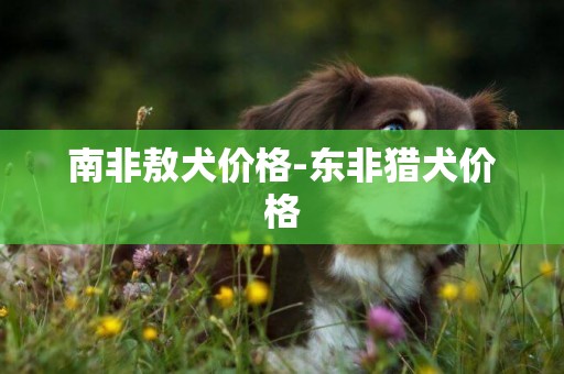 南非敖犬價格-東非獵犬價格