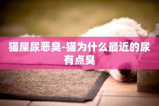 貓屎尿惡臭-貓為什么最近的尿有點臭