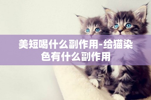 美短喝什么副作用-給貓染色有什么副作用
