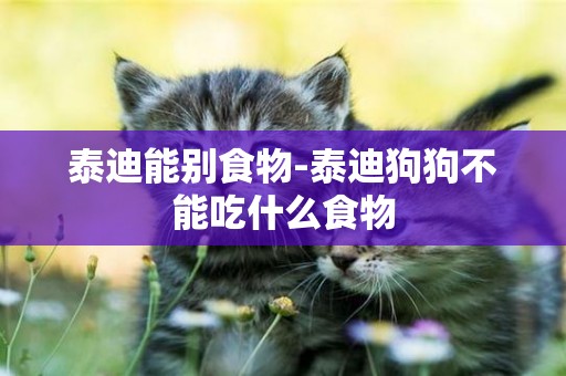 泰迪能別食物-泰迪狗狗不能吃什么食物