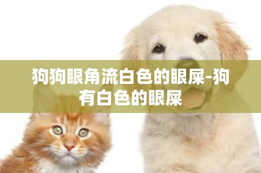 狗狗眼角流白色的眼屎-狗有白色的眼屎