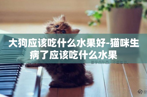 大狗應該吃什么水果好-貓咪生病了應該吃什么水果