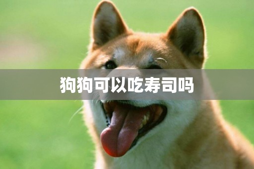 狗狗可以吃壽司嗎