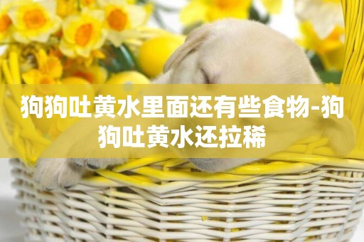 狗狗吐黃水里面還有些食物-狗狗吐黃水還拉稀