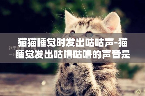 貓貓睡覺時發出咕咕聲-貓睡覺發出咕嚕咕嚕的聲音是怎么回事啊