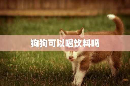 狗狗可以喝飲料嗎