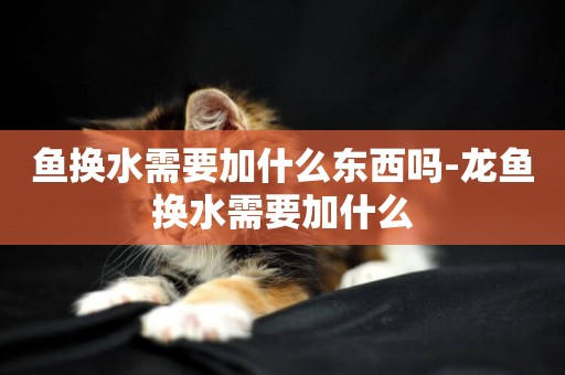 魚換水需要加什么東西嗎-龍魚換水需要加什么