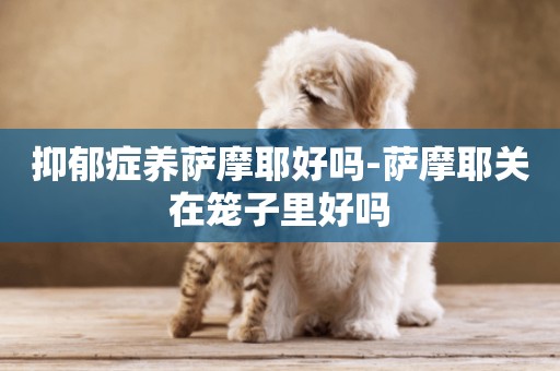 抑郁癥養薩摩耶好嗎-薩摩耶關在籠子里好嗎