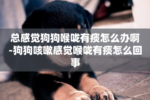 總感覺狗狗喉嚨有痰怎么辦啊-狗狗咳嗽感覺喉嚨有痰怎么回事
