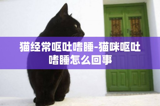 貓經常嘔吐嗜睡-貓咪嘔吐嗜睡怎么回事
