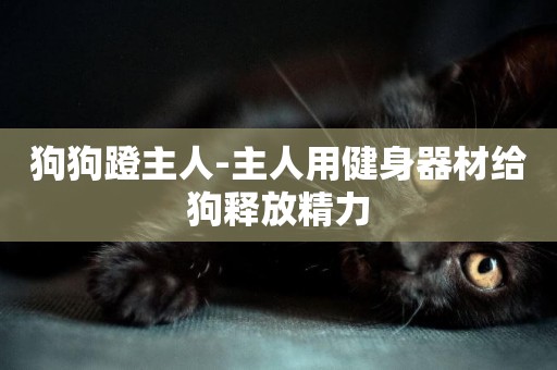 狗狗蹬主人-主人用健身器材給狗釋放精力