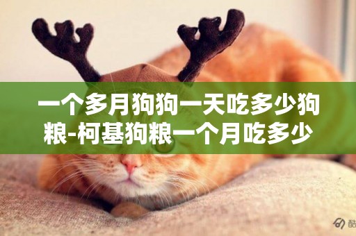一個多月狗狗一天吃多少狗糧-柯基狗糧一個月吃多少