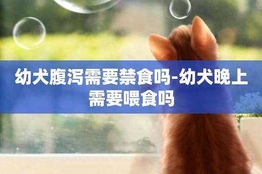 幼犬腹瀉需要禁食嗎-幼犬晚上需要喂食嗎