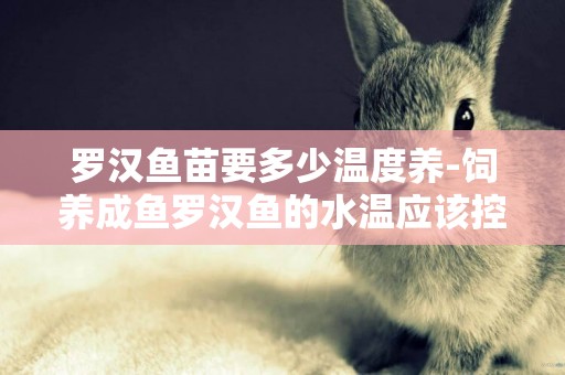 羅漢魚苗要多少溫度養-飼養成魚羅漢魚的水溫應該控制在多少度