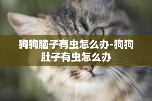 狗狗腦子有蟲怎么辦-狗狗肚子有蟲怎么辦