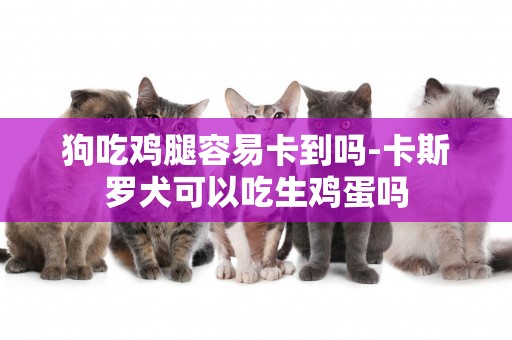 狗吃雞腿容易卡到嗎-卡斯羅犬可以吃生雞蛋嗎