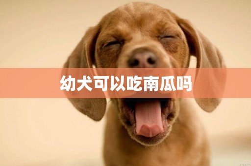 幼犬可以吃南瓜嗎