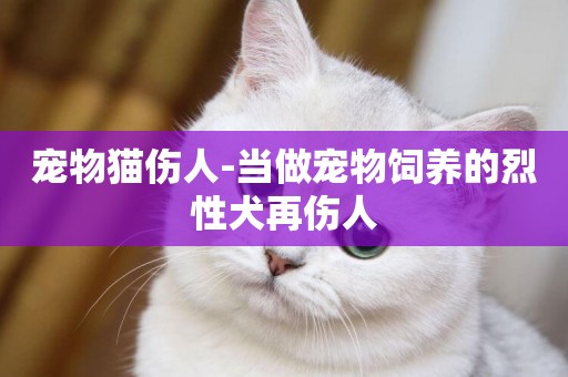 寵物貓傷人-當做寵物飼養的烈性犬再傷人