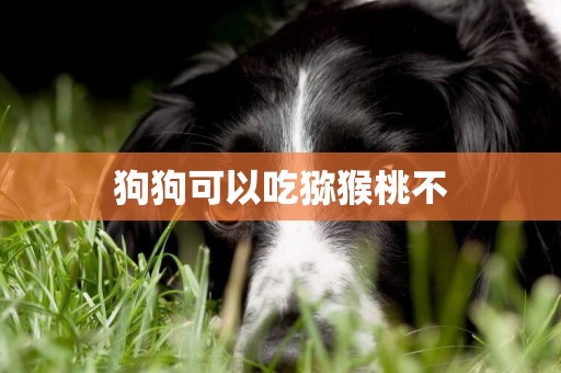 狗狗可以吃獼猴桃不