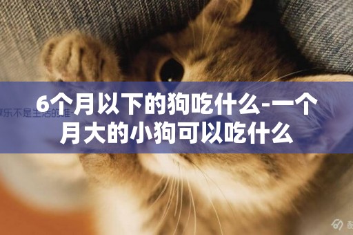 6個月以下的狗吃什么-一個月大的小狗可以吃什么