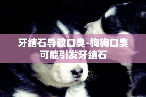 牙結石導致口臭-狗狗口臭可能引發牙結石