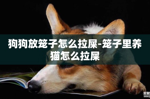 狗狗放籠子怎么拉屎-籠子里養貓怎么拉屎