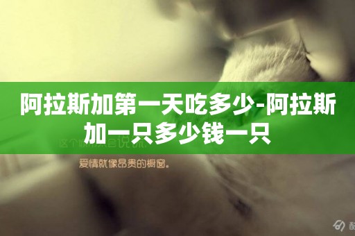 阿拉斯加第一天吃多少-阿拉斯加一只多少錢一只