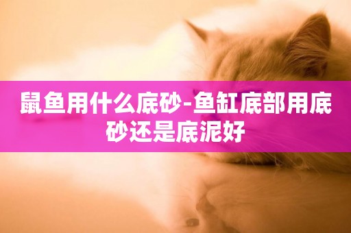鼠魚用什么底砂-魚缸底部用底砂還是底泥好