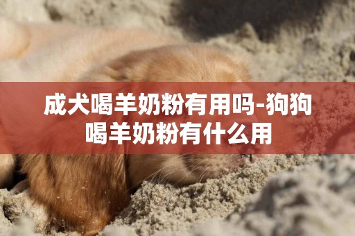 成犬喝羊奶粉有用嗎-狗狗喝羊奶粉有什么用