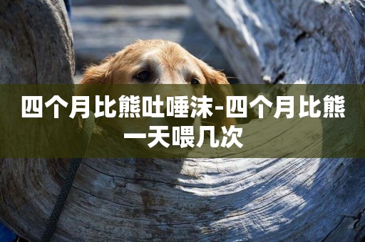 四個月比熊吐唾沫-四個月比熊一天喂幾次