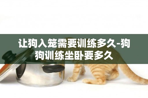 讓狗入籠需要訓練多久-狗狗訓練坐臥要多久