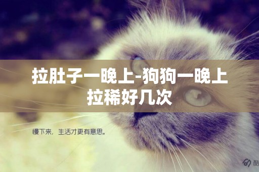 拉肚子一晚上-狗狗一晚上拉稀好幾次