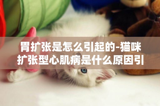 胃擴張是怎么引起的-貓咪擴張型心肌病是什么原因引起的