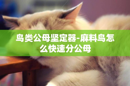 鳥類公母堅定器-麻料鳥怎么快速分公母
